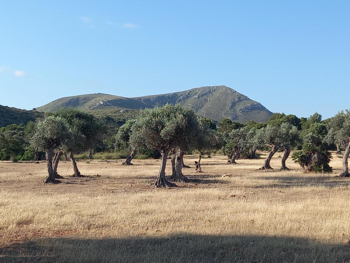 El Nido De Betlem Daire Colonia de San Pedro Dış mekan fotoğraf