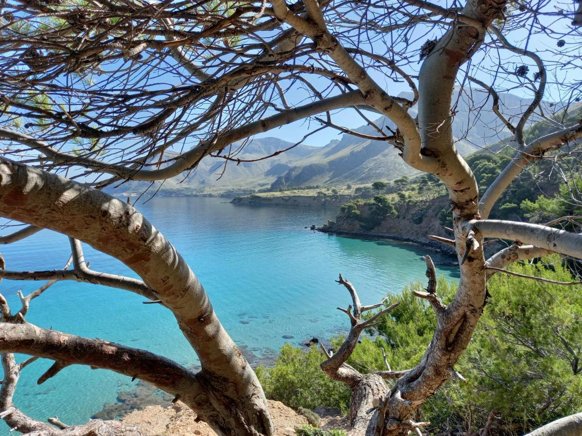 El Nido De Betlem Daire Colonia de San Pedro Dış mekan fotoğraf